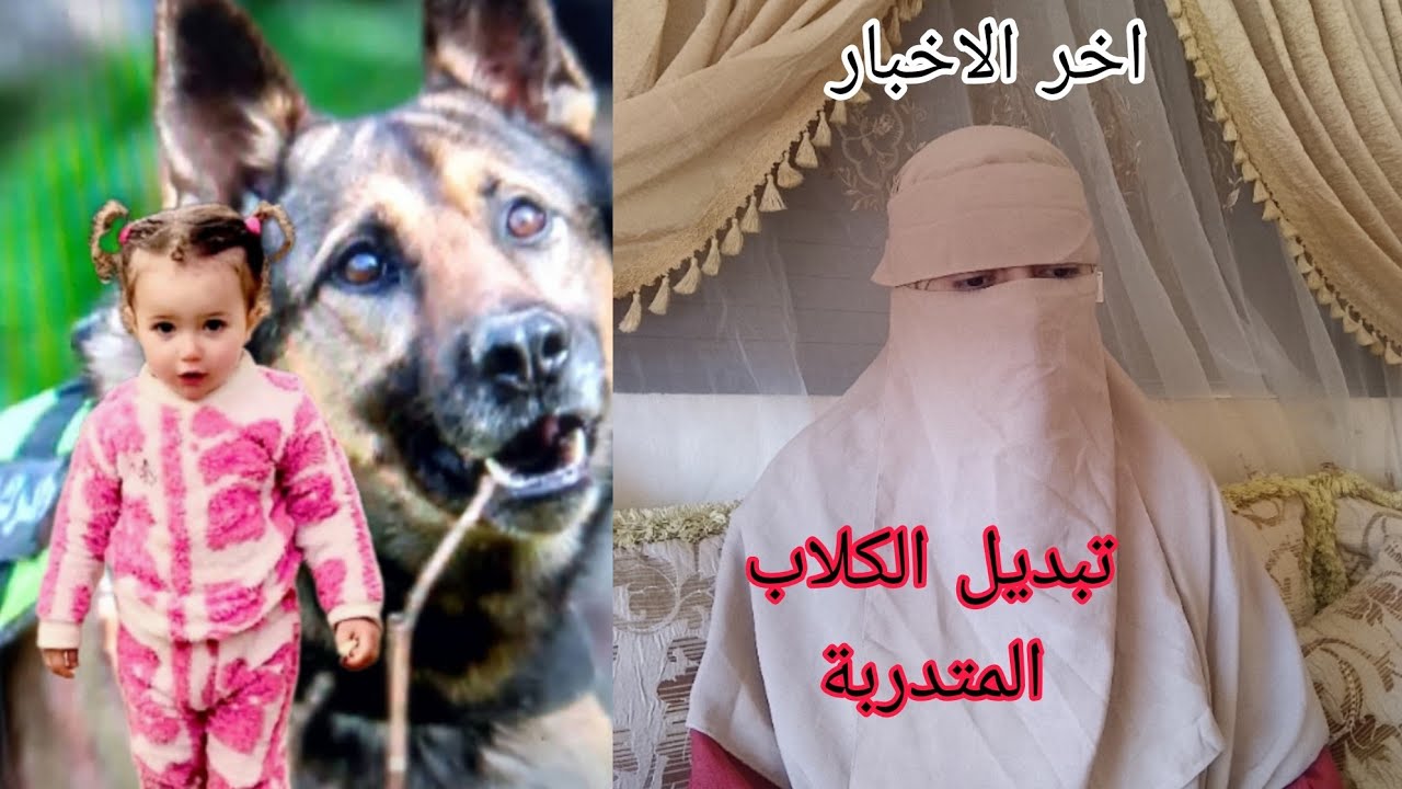 اخر الاخبار  في قضية اختفاء الطفلة سندس من شفشاون تبديل الكلاب المتدربة  وهذا ماوجدوه