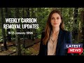 Weekly Carbon Removal Updates from 19 January - 25 January 2026 | CDR | Climate Tech