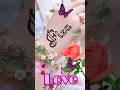Fiza Name Love Status Shortsviral Latter Nameart Trending Feel Name Art Feed Love New