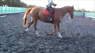 Jaz 210819 2
