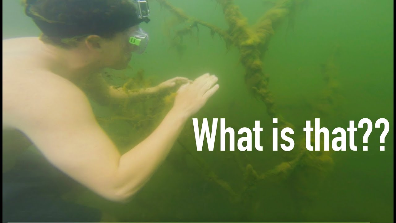 Lake Norman Underwater TREASURE! YouTube