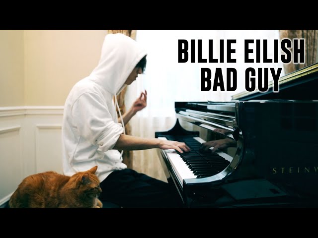 Apenas donos de gatos entenderão esse vídeo #billyemandy #Billy