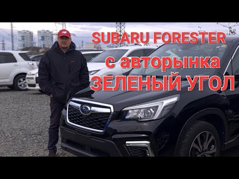 Лучший кроссовер на авторынке Зеленый Угол? Обзор Subaru Forester в комплектации 2,5 Premiun 4WD