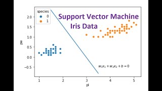 Fitting Support Vector Machine to Iris Data Set