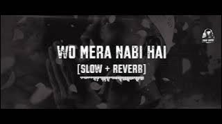 Wo Mera Nabi Hai || Slowed   Reverb || Syeda Areeba Fatima || Super hit salam || Naat Lovers