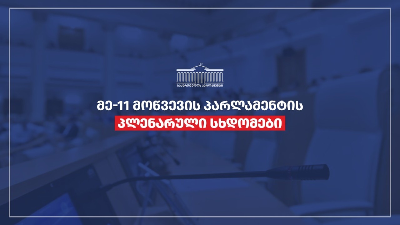 პარლამენტის პლენარული სხდომა II - 18.02.2026