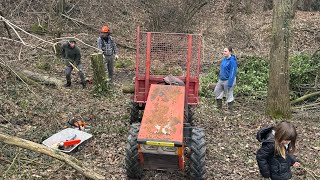 Pulizia e manutenzione del bosco - fare la legna