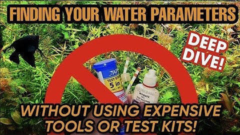 Tips & Tricks to FIND AQUARIUM WATER PARAMETERS USING NATURE! ( WITHOUT TEST KITS OR TOOLS.)