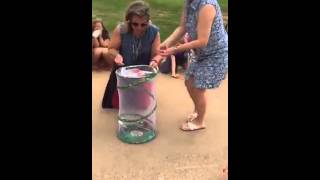 First Grade Releasing Butterflies