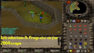 Lost City - 2004scape | Introduction & Progress so far #1