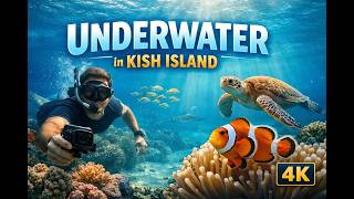 I Didn’t Expect This in IRAN 🇮🇷 (Underwater 4K in Kish Island)