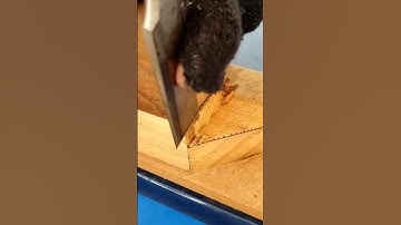 Chisel #chisel #asmr #asmesounds #oddlysatisfying #woodcarving #handymantips #short