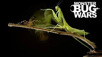 When Mantises Attack #2 - MONSTER BUG WARS