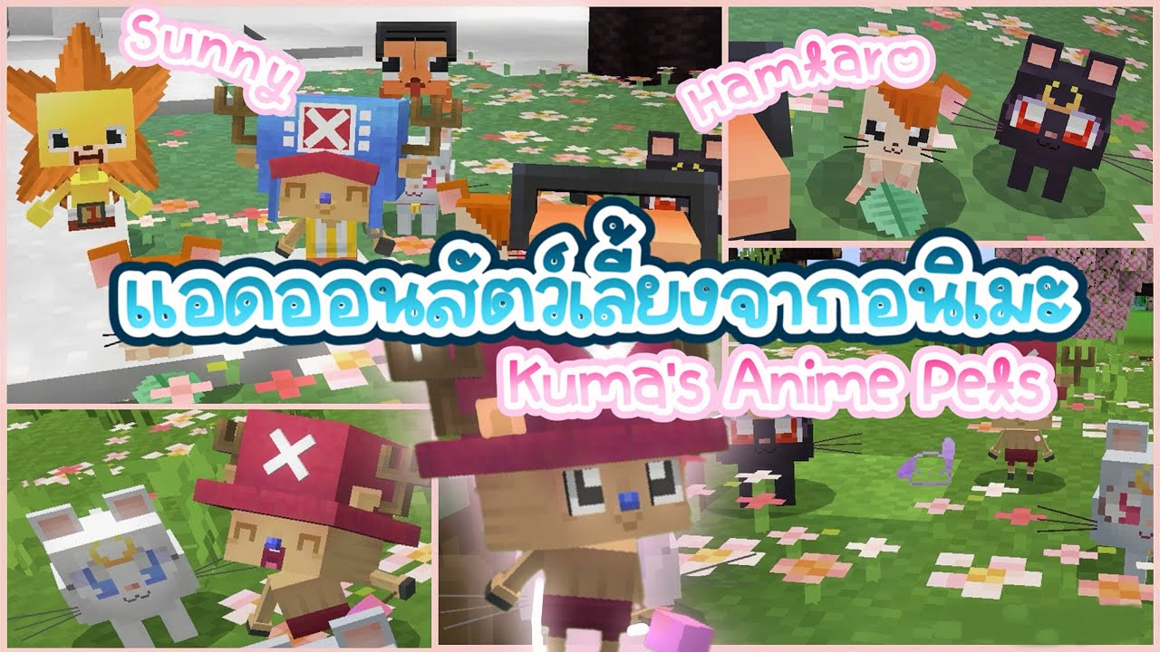 🐹Minecraft Be : ᰔ แอดออนสัตว์เลี้ยงอนิเมะสุดคิ้วท์ | kuma’s anime pets ...