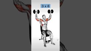 Kurzhantel Schulter Workout