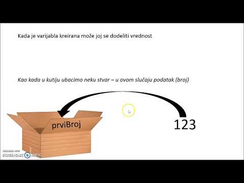 Video: Koji je tip dodijeljen varijablama sa nultim tipom?