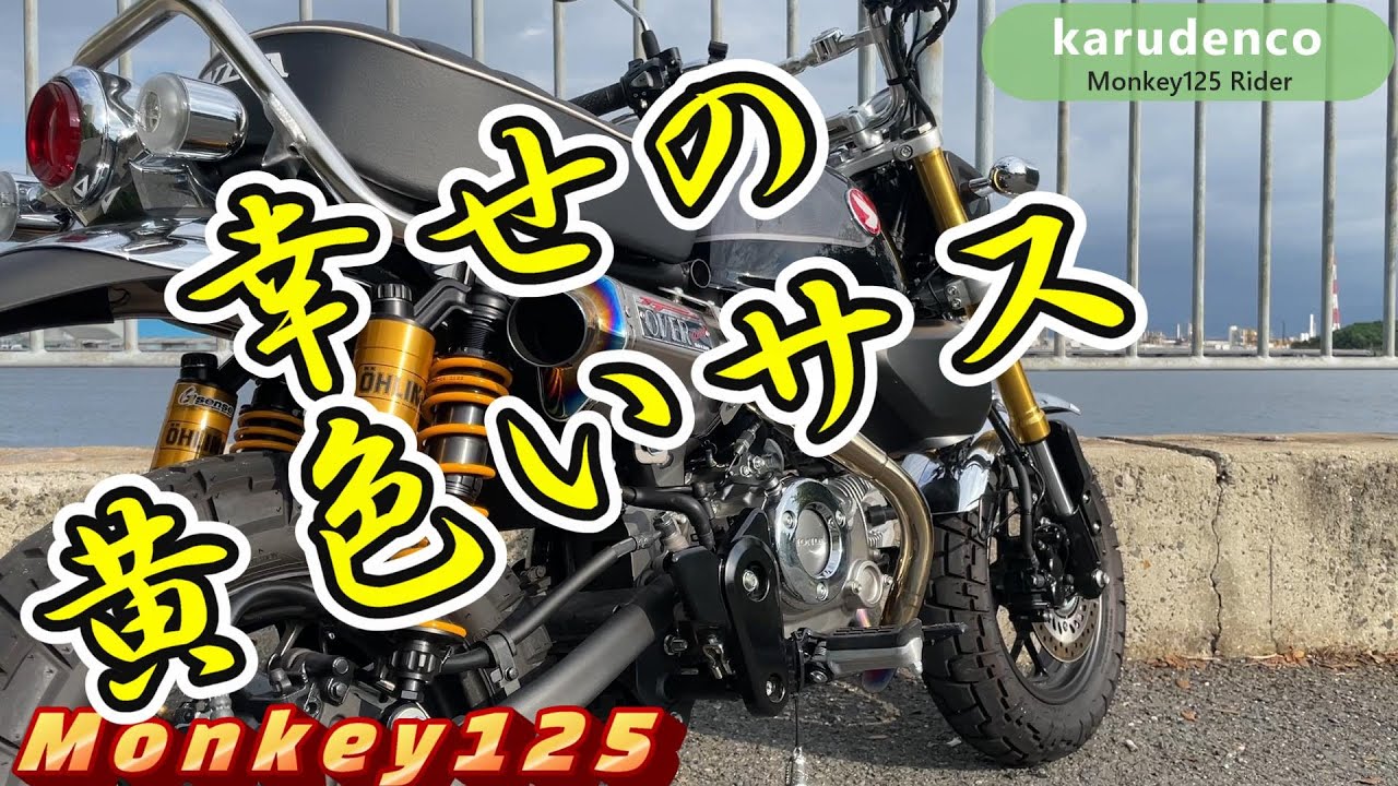 【モンキー125】オーリンズサスが最高過ぎた。(＾ω＾)　【オーリンズ】【OHLINS】【Monkey125】