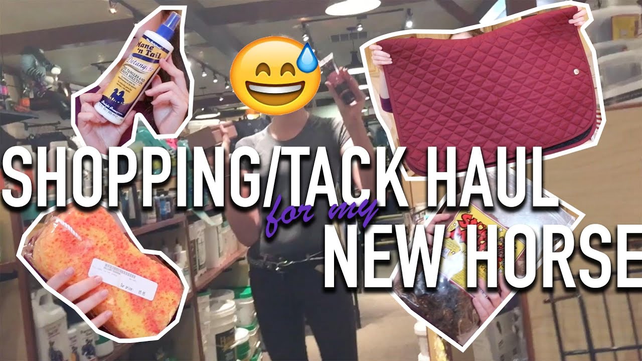 TACK HAUL FOR MY NEW HORSE! YouTube