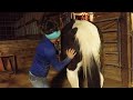 Seeking Stride Equine Sports Massage Therapy