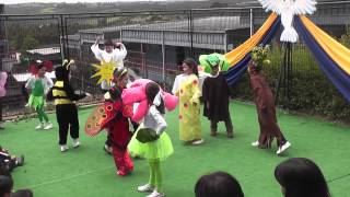 Baile Una Cuncuna Amarilla Bendición Kinder Pre-Kinder