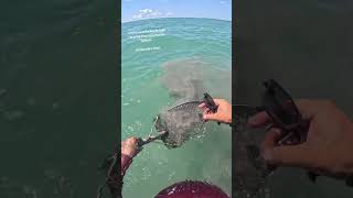 achei na praia com detector de metais #detectorismo #praia #tesouro #detectorismohobby #minelab