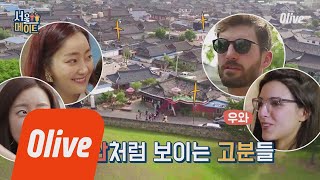 seoulmate [효림이네] '산이 아니라 무덤이라고?' 후덜덜한 경주 고분 스케일! 180721 EP.36