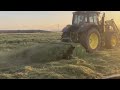 Super condition hay with a celli mulcher