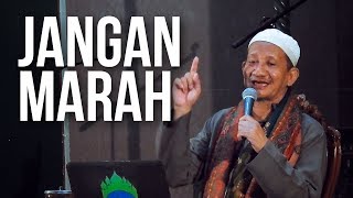 KH. Agoes Ali Masyhuri (Gus Ali): Jangan Marah