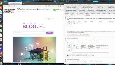 JWT authentication bypass via jwk header injection