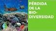 La importancia de la biodiversidad para la salud humana ile ilgili video