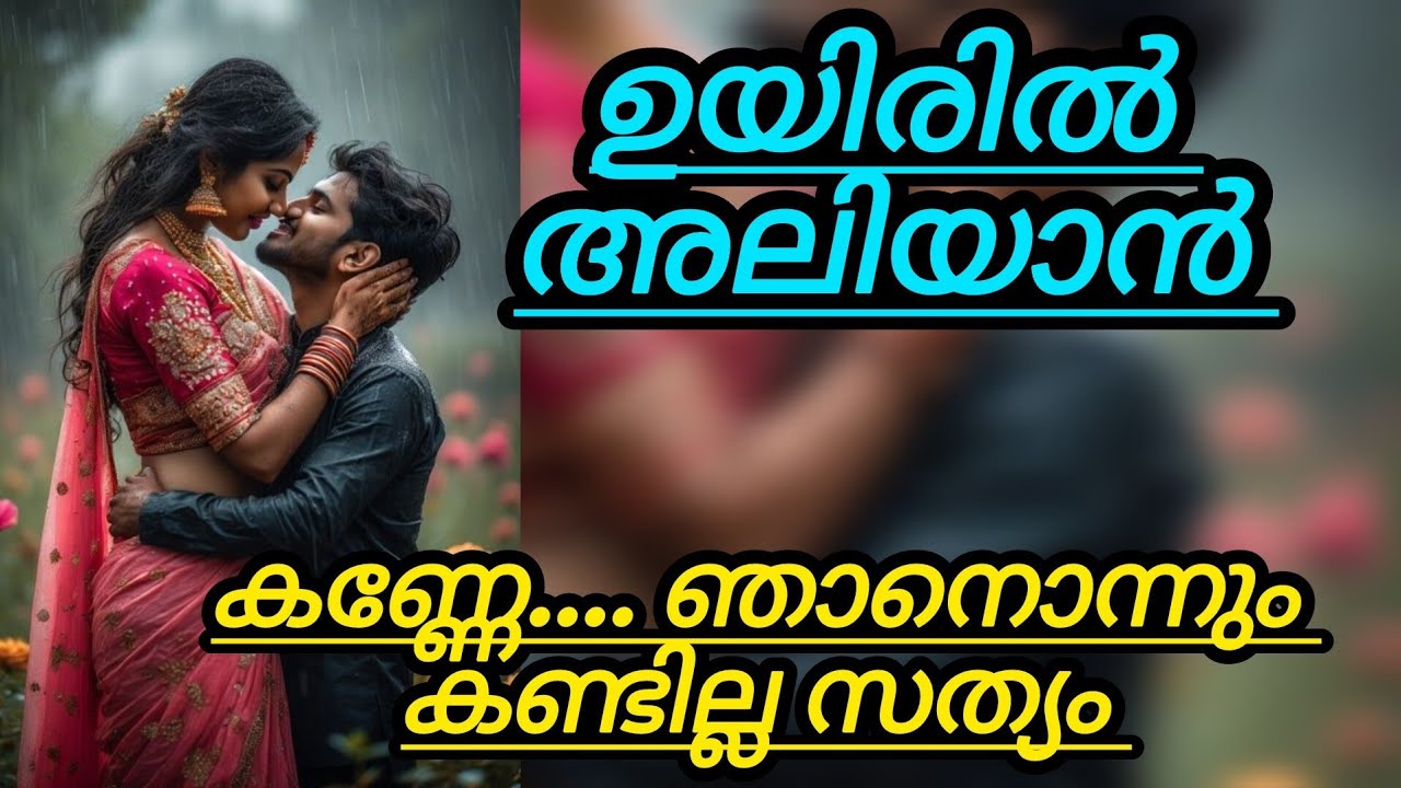 കണ്ണേ...... ഞാനൊന്നും കണ്ടില്ല. സത്യം 