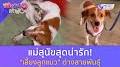 ข้าวหมูแดง เจียมเลี้ยงเซี้ย from m.youtube.com