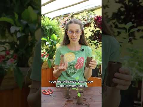 Vídeo: Protegendo plantas com rolos de papel higiênico: como usar tubos de papelão para pragas