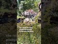 Woman Takes a Stand Against Kids Taking Fish from Pond