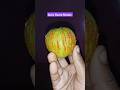 Spicy Guava Masala Guava Trending Shortvideo Masala Spicy Guava Masala Guava Trending Shortvideo Masala