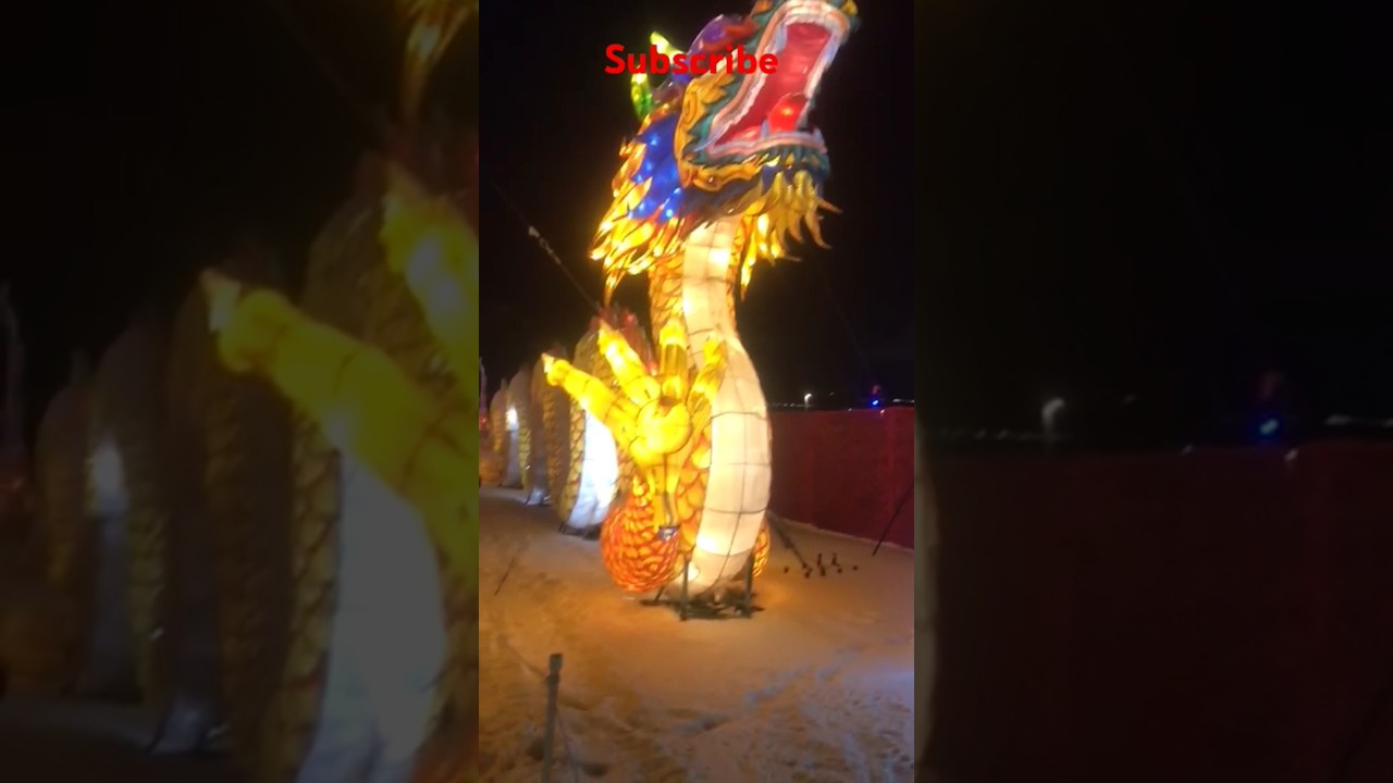 கனடாவில் புத்தாண்டு கொண்டாட்டம் 