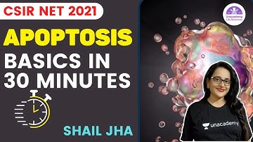 [Apoptosis] - Basics in 30 Minutes | 🎯for CSIR NET2021 by Shail Jha