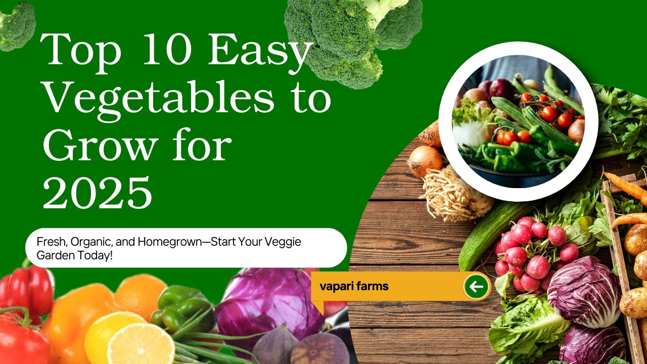 Top 10 Easy Vegetables to Grow in Your Backyard Garden for 2025 - YouTube