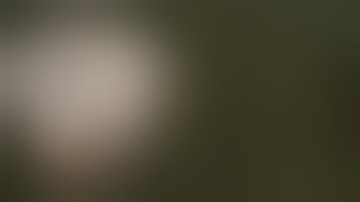 Duo/Trio/Group Base Design | High Raid Cost |  Triple Bunker Base Exploit | Cheap |