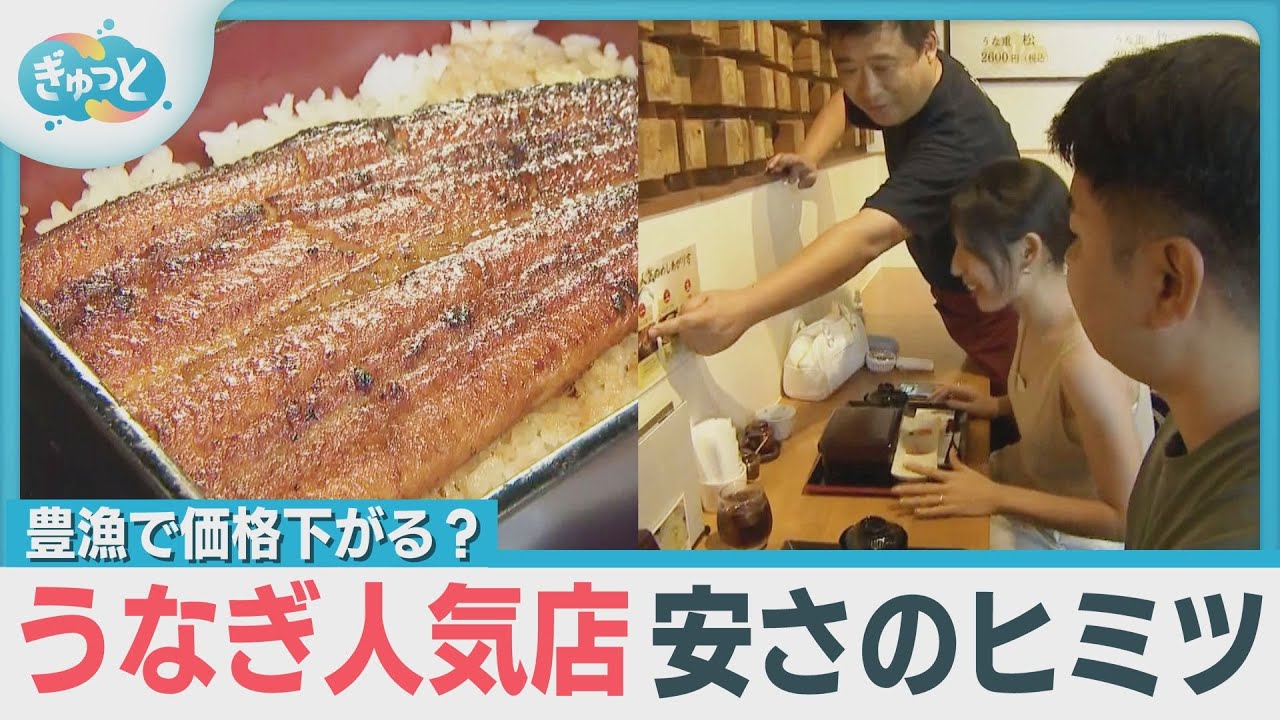 Will prices fall due to a bumper catch of eels? The secret behind 