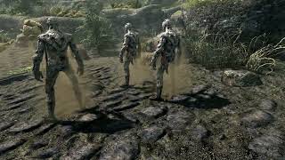 Detailed NPCs - Dust Effect for Ash Spawn SPID