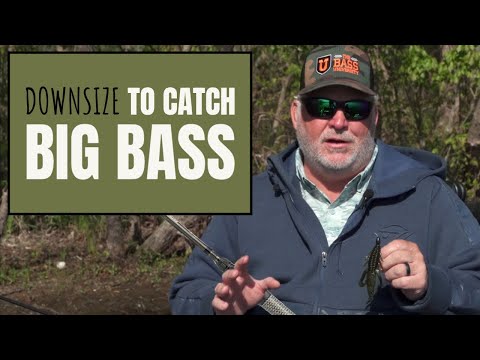 Swimming a Creature Bait for Bass - Pete Gluszek