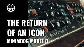 Minimoog Model D | The Return of an Icon | Thomann Synthesizers