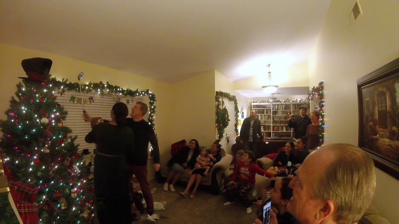 Twin Reveal - Christmas 2018