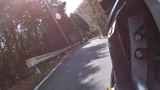 【#14】【ＡＳＭＲ】 【クロスプレーン】【クイックシフト】【アクラポビッチ 】