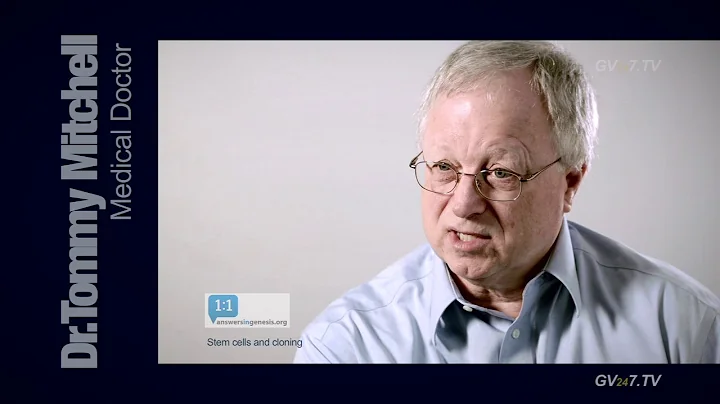 Stem cells and cloning