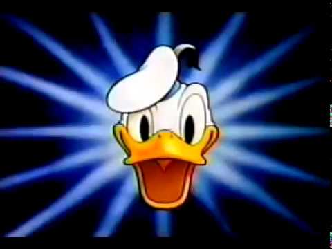 Amazing cartoons - Mr. Donald Duck - Disney world