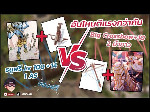 big crossbow New ธนูฟรี Lv 100 +14 1 AS VS BIg Crossbow+10 2 ม้าขาว อันไหนตีแรงกว่ากัน