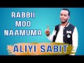 ALIYI SABIT RABBI MOO New Cover Ali Birra New Music 2025 ALIYI SABIT RABBI MOO New Cover Ali Birra New Music 2025