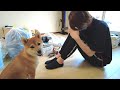 夫婦＋犬１匹、家を失ったので引っ越すことになりました。